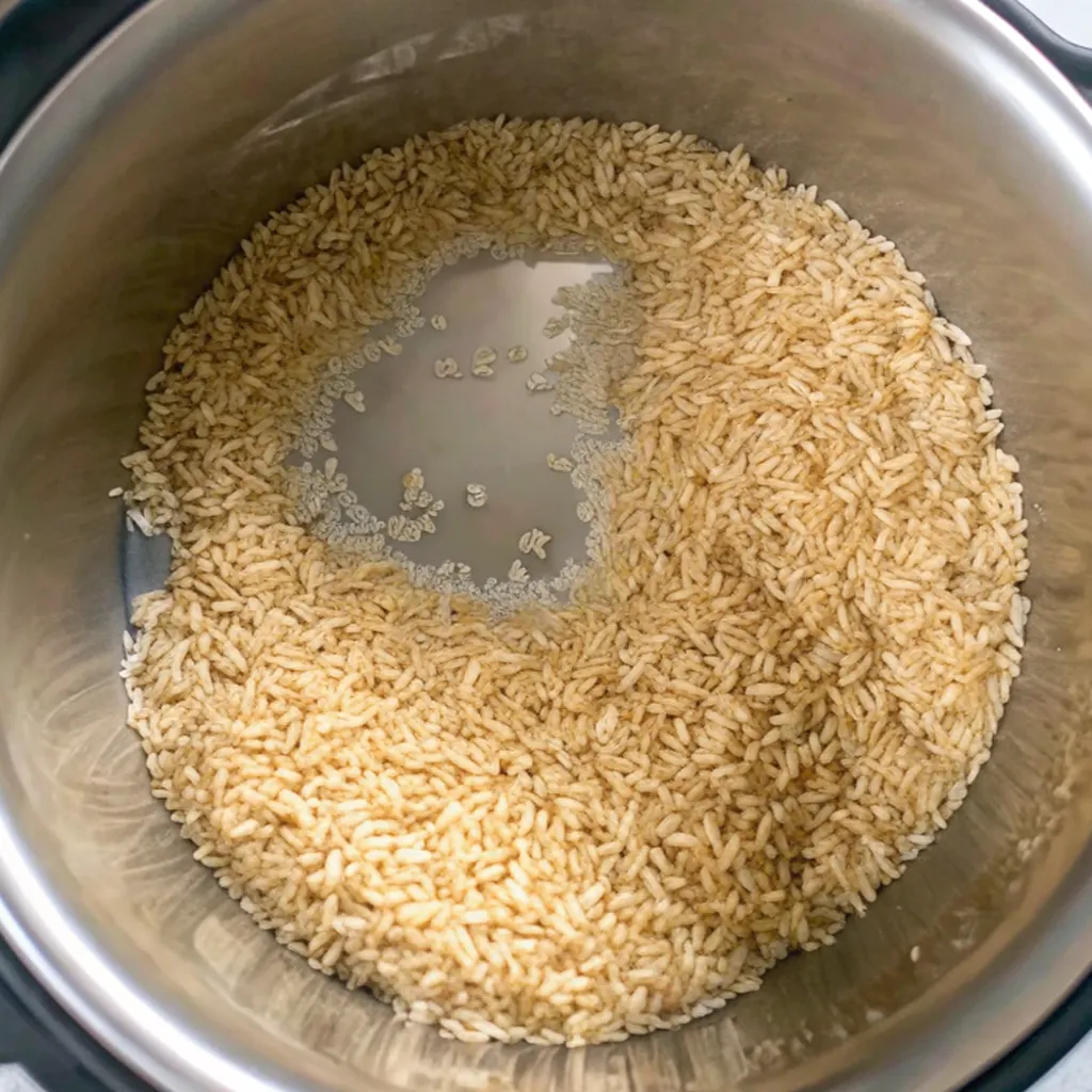 Uncooked brown rice grains sit at the bottom of a stainless steel Instant Pot inner bowl, partially submerged in a small amount of water before the pressure-cooking process begins.